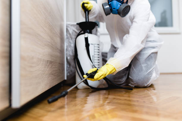 Best Pest Control Near Me  in Caddo, OK