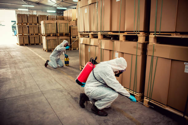 Best Best Pest Control Companies  in Caddo, OK