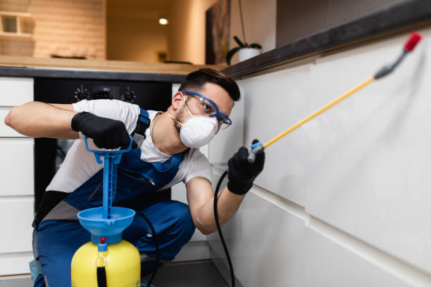 Wasp Removal Services in Caddo, OK