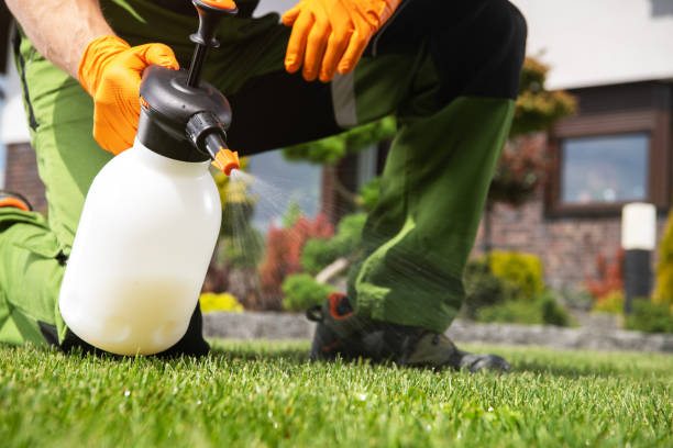 Professional Pest Control in Caddo, OK