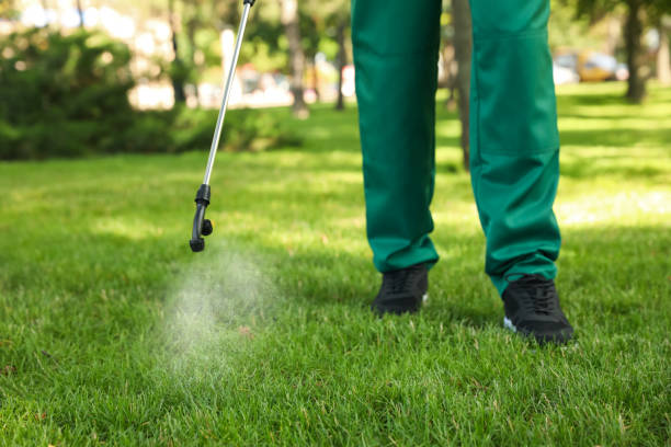 Best Wasp Removal Services  in Caddo, OK