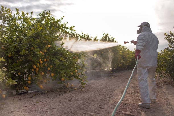 Best Pest Removal Services  in Caddo, OK
