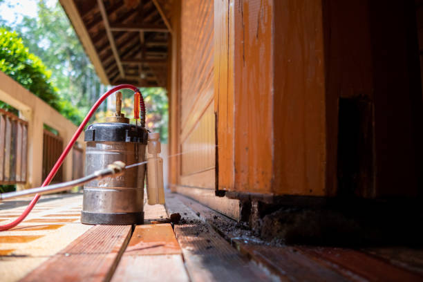 Best Local Pest Control Services  in Caddo, OK