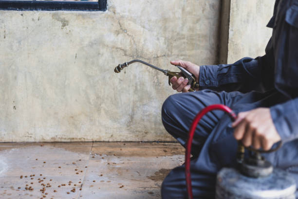 Best Pest Control Near Me in Caddo, OK